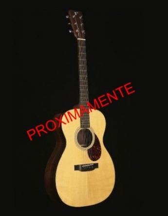 modelo-guitarra-acustica-2